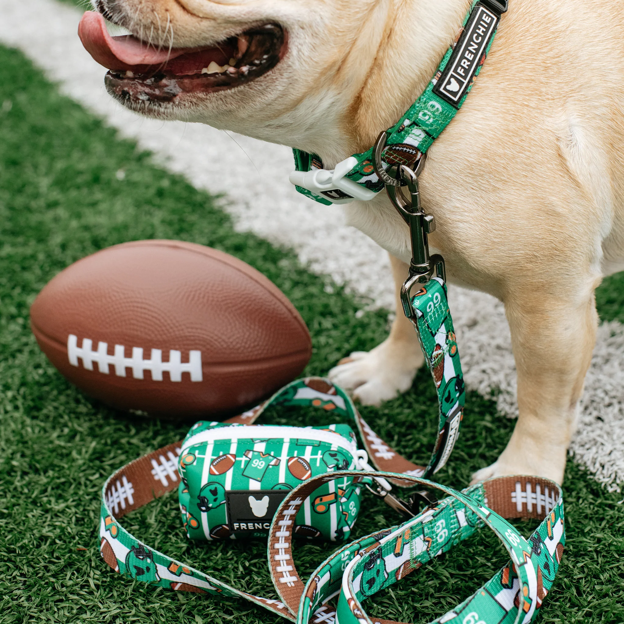 Frenchie Poo Bag Holder - Touchdown - Image 7