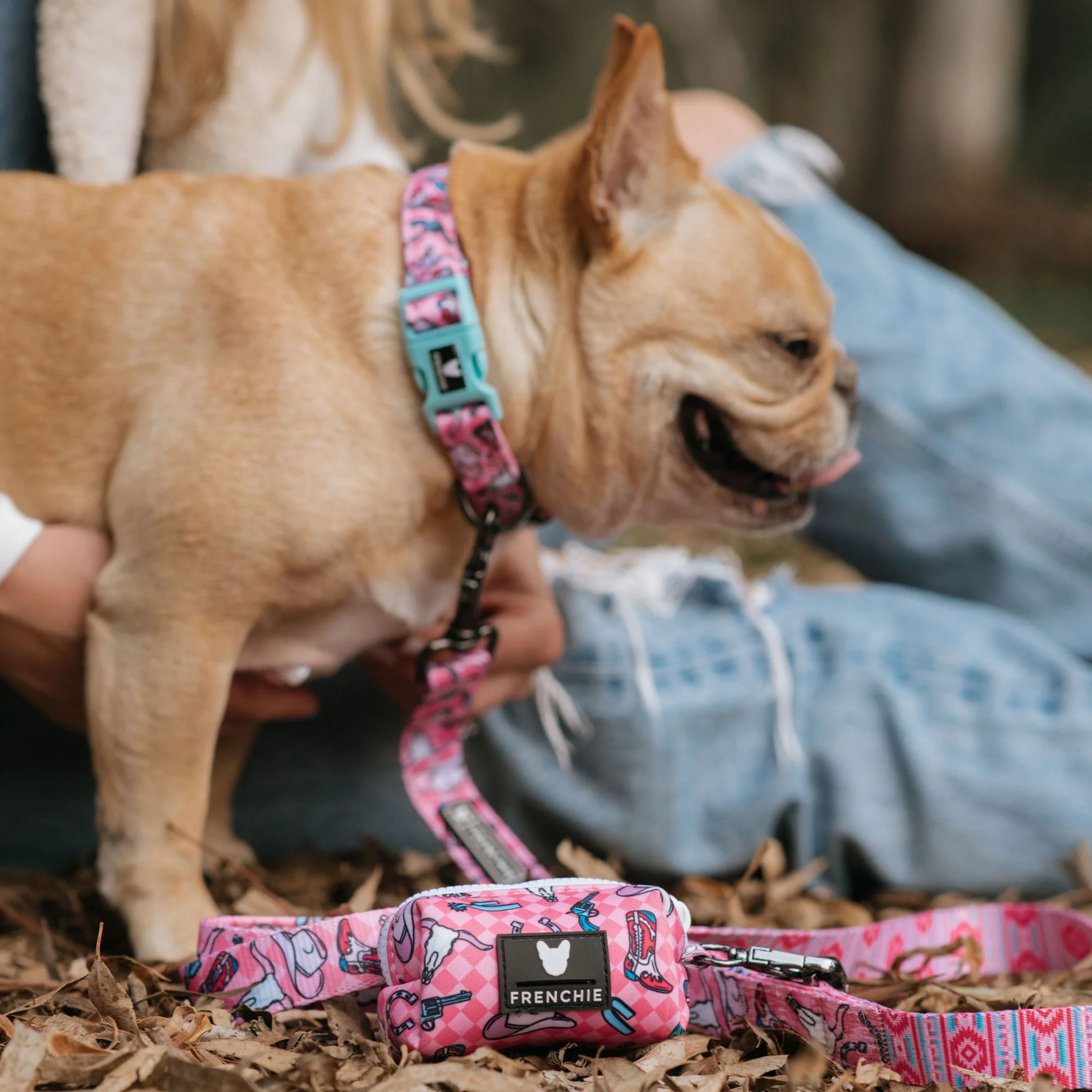 Frenchie Poo Bag Holder - Wild West (Pink) - Image 2