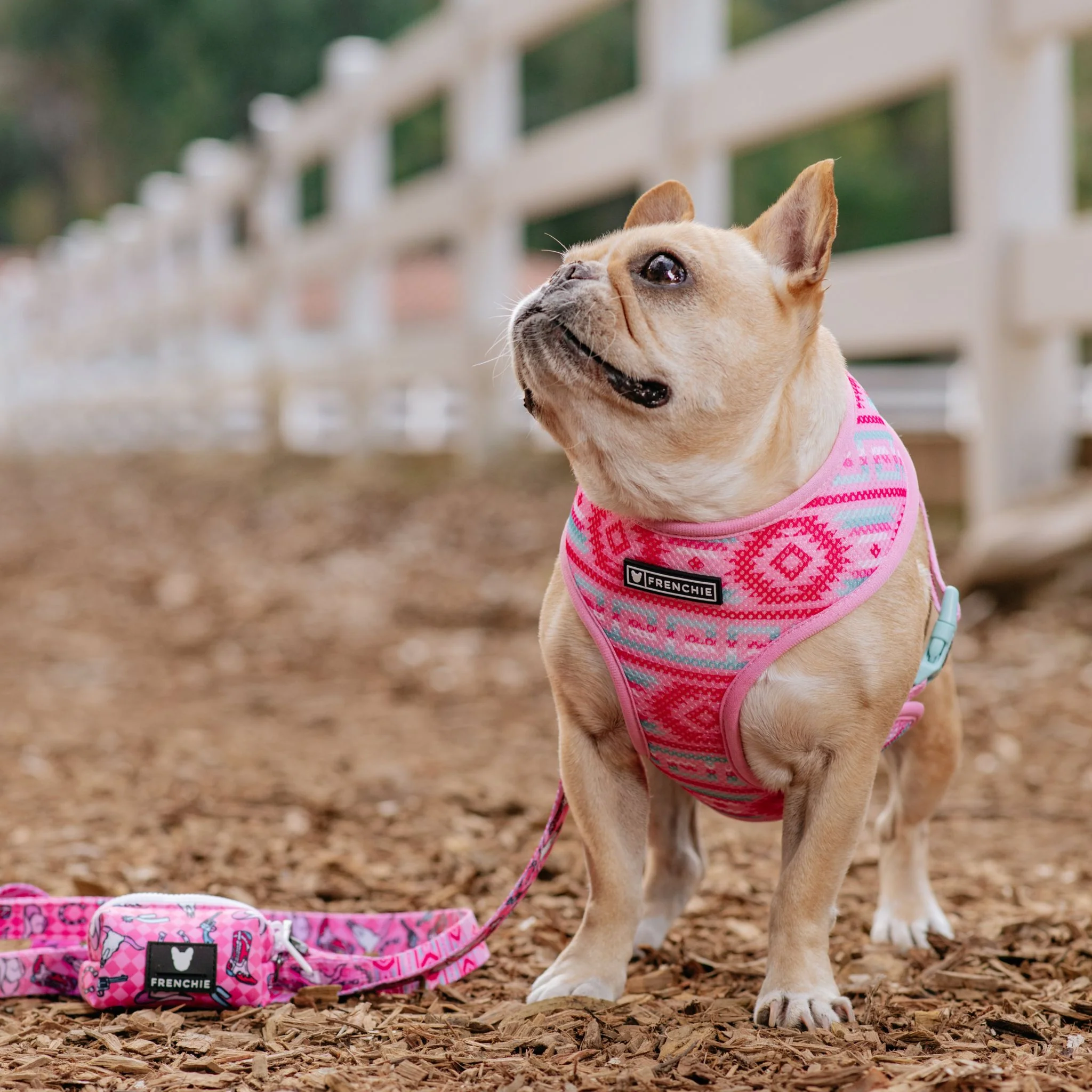 Frenchie Poo Bag Holder - Wild West (Pink) - Image 4