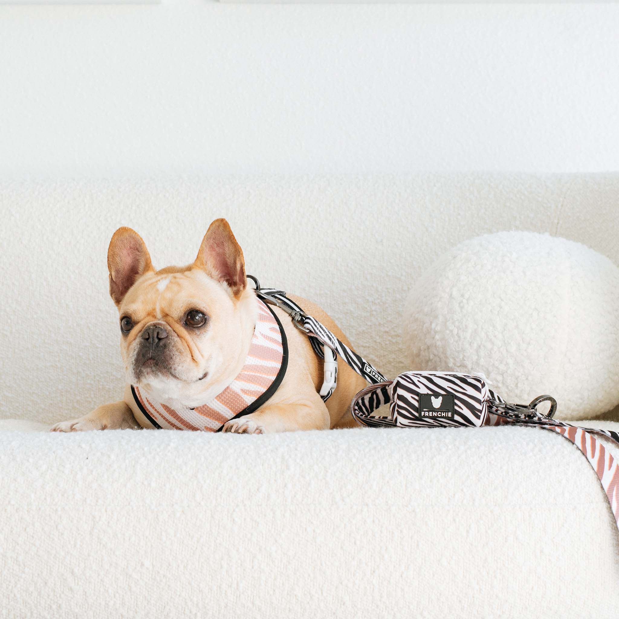 Frenchie Poo Bag Holder - Zebra - Image 3