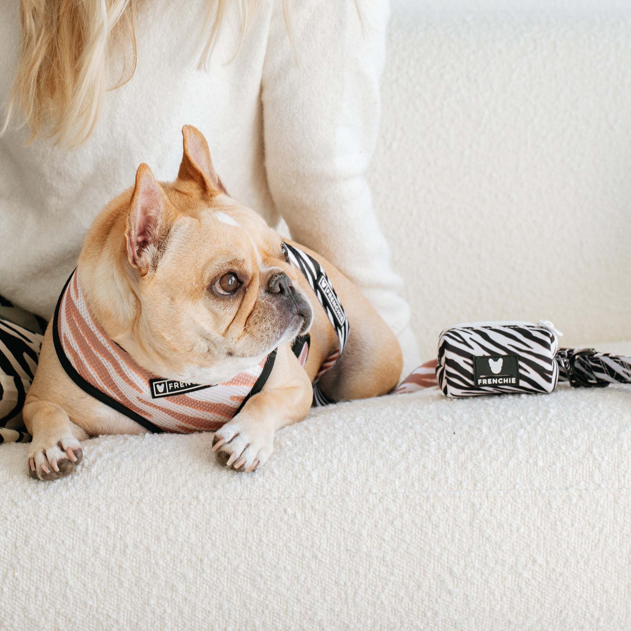 Frenchie Poo Bag Holder - Zebra - Image 4