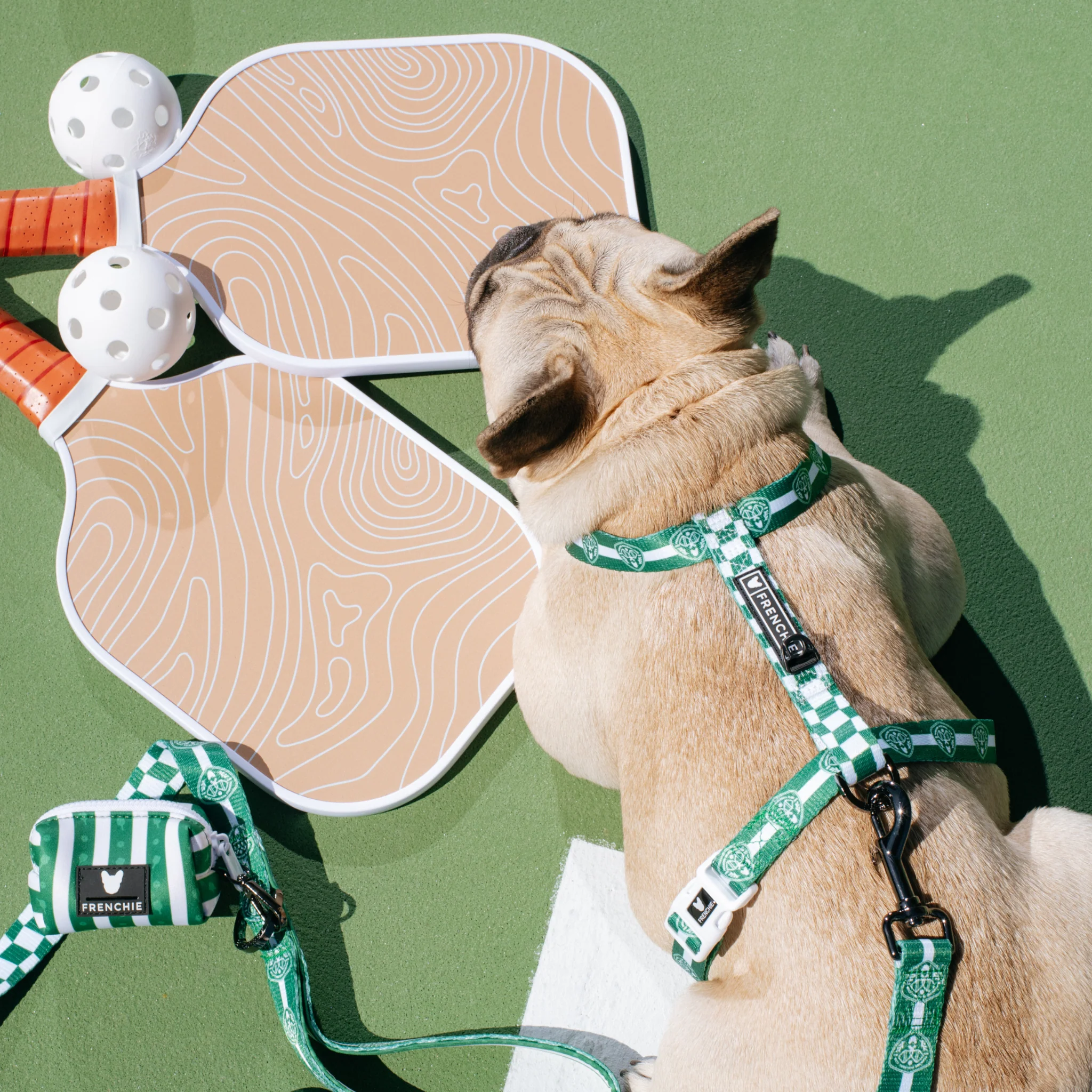 Frenchie Strap Harness - Pickleball - Image 2