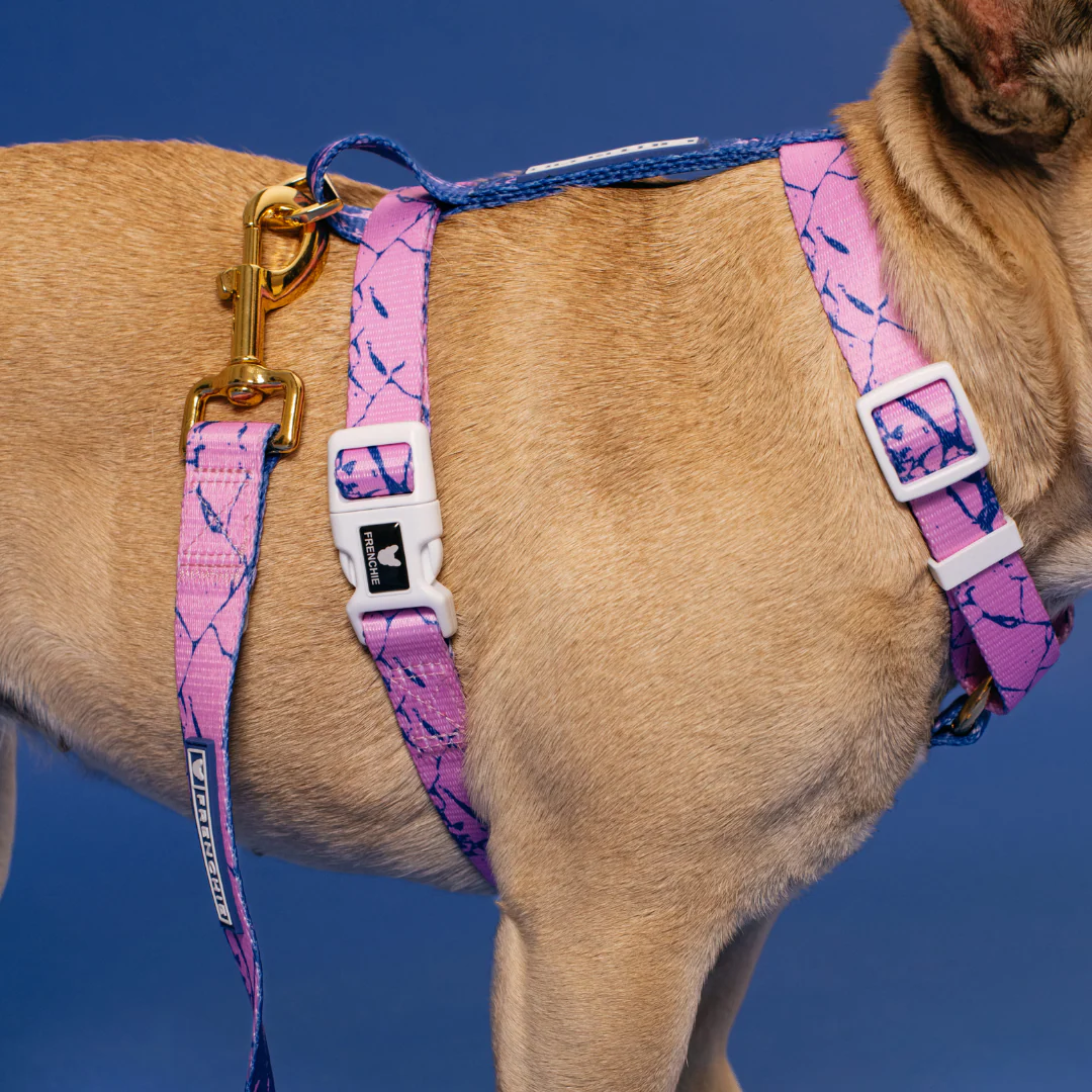 Frenchie Strap Harness - Pink Marble - Image 4