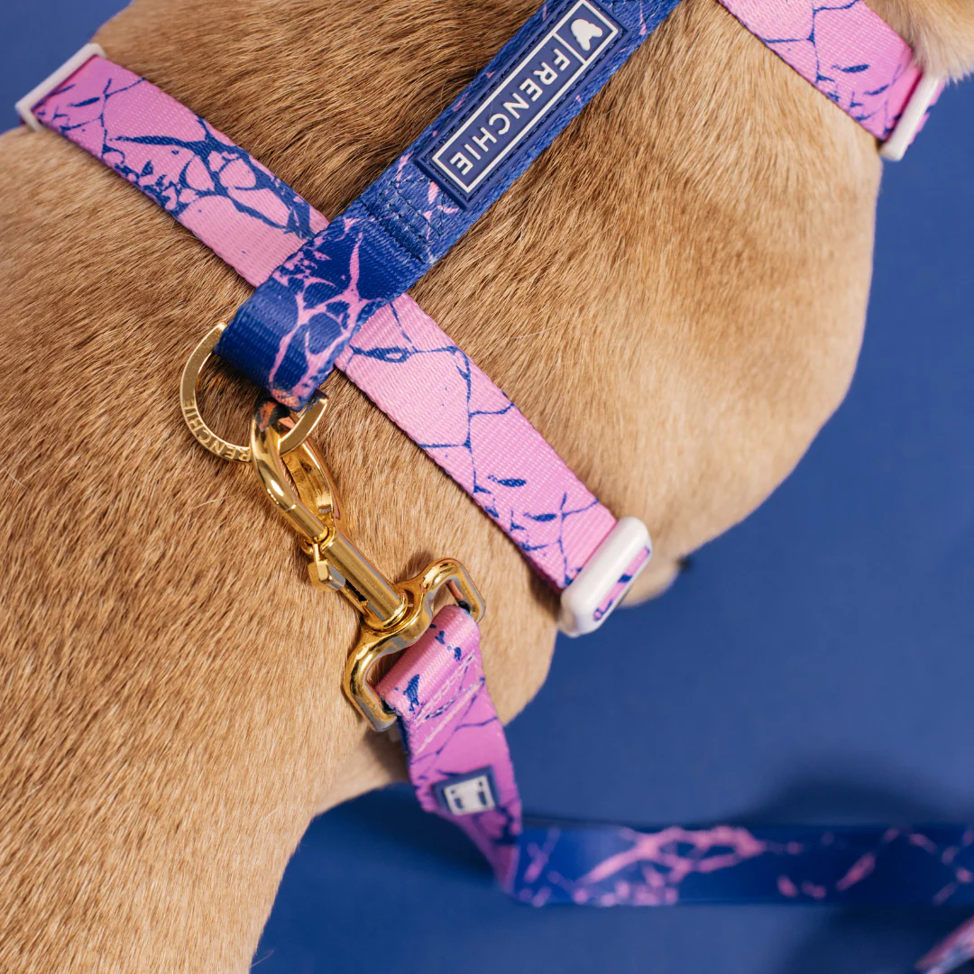 Frenchie Strap Harness - Pink Marble - Image 5