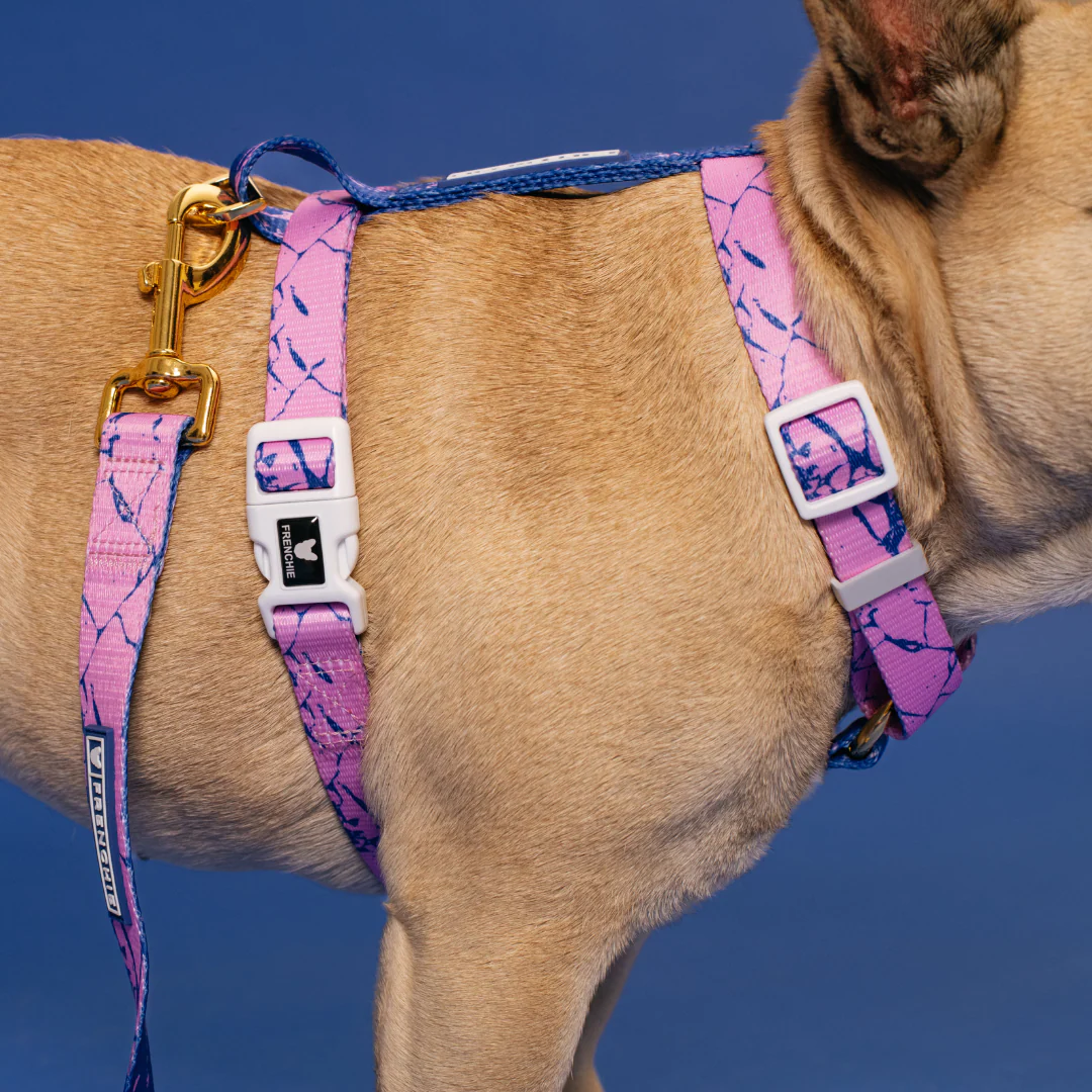 Frenchie Strap Harness - Pink Marble - Image 6