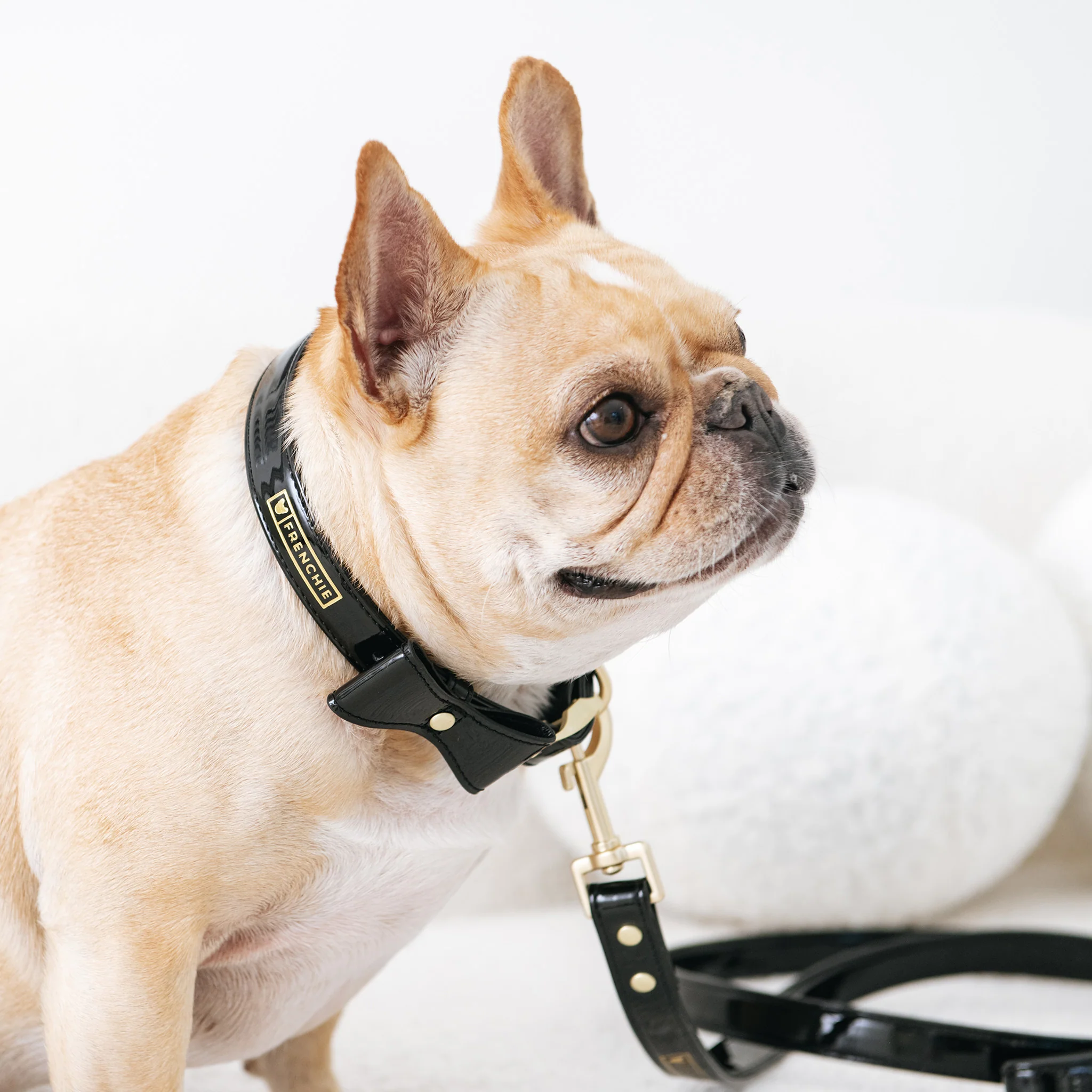 Frenchie Vegan Leather Collar, Leash, & Bow Tie Set - Image 2