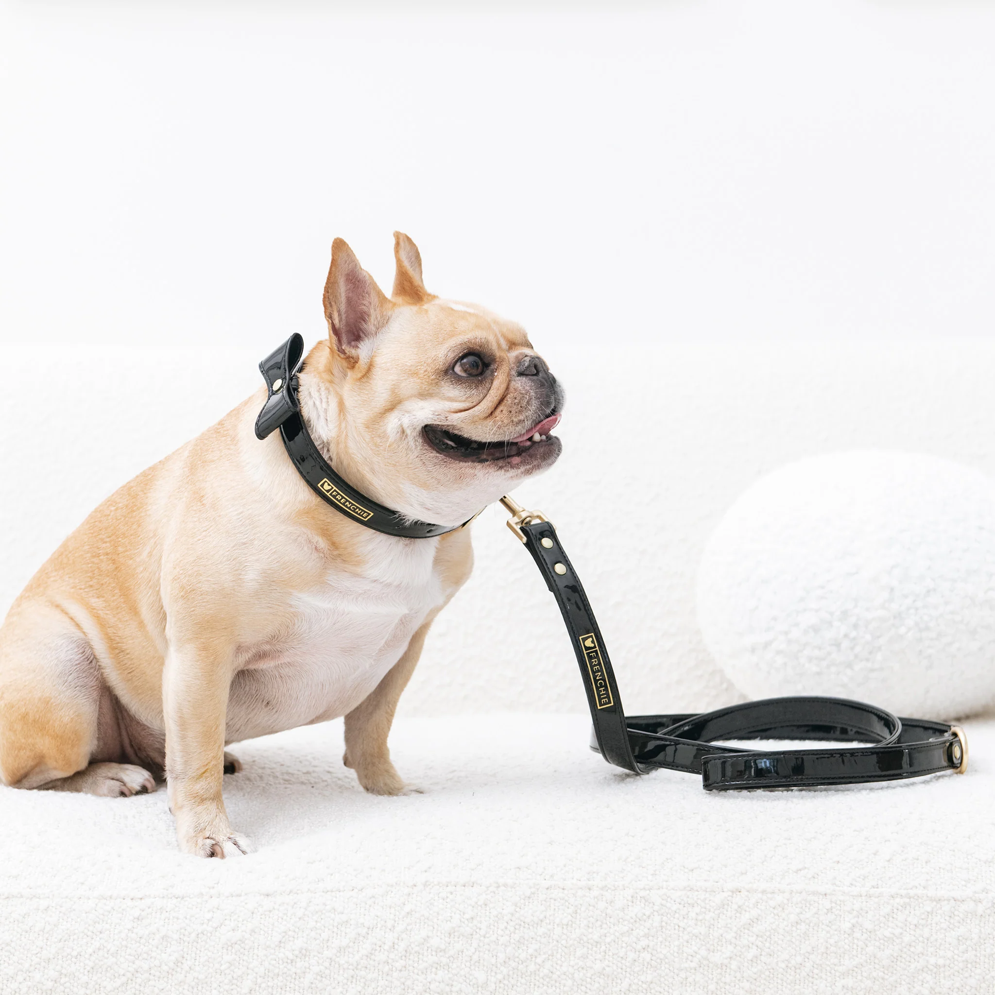 Frenchie Vegan Leather Collar, Leash, & Bow Tie Set - Image 4
