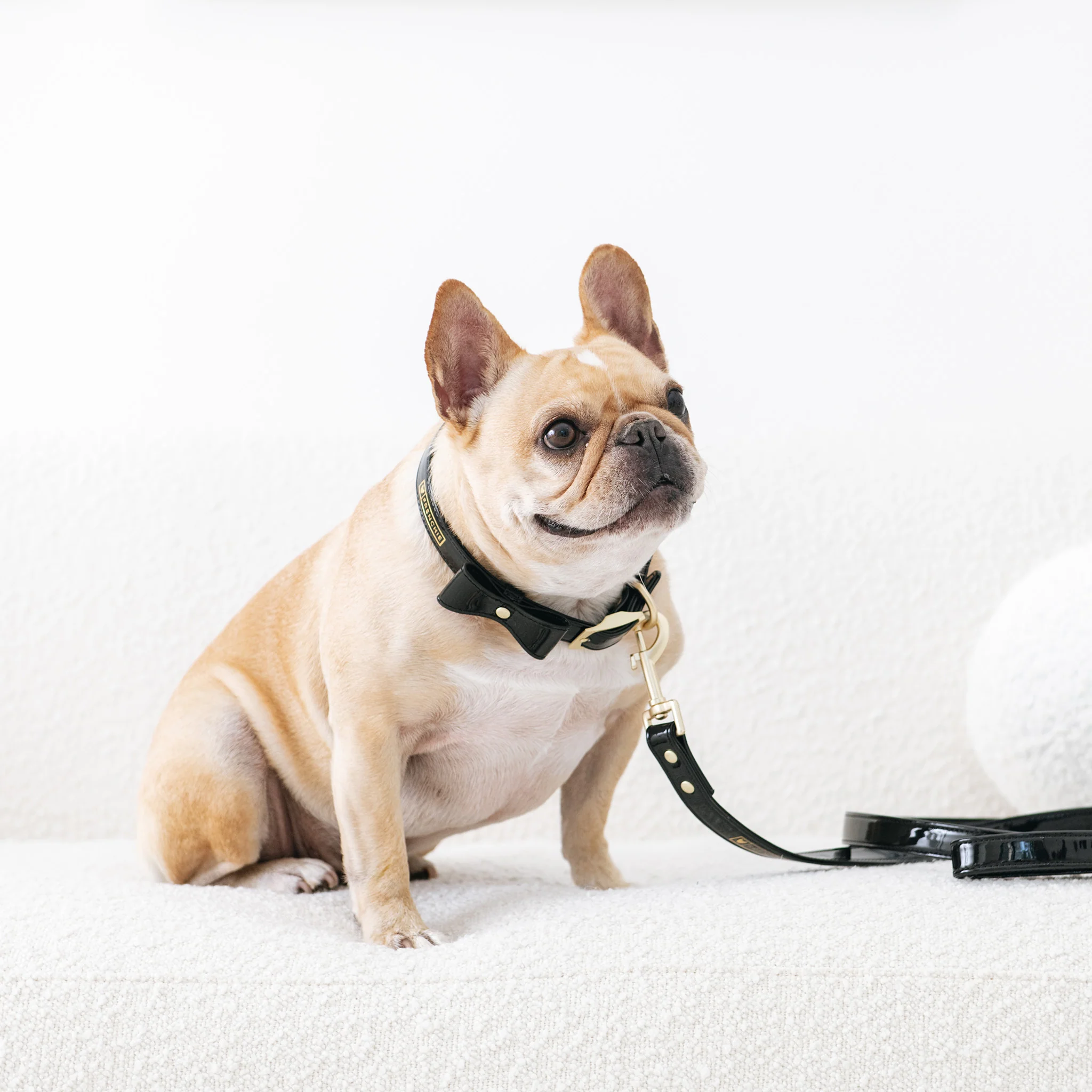 Frenchie Vegan Leather Collar, Leash, & Bow Tie Set - Image 5