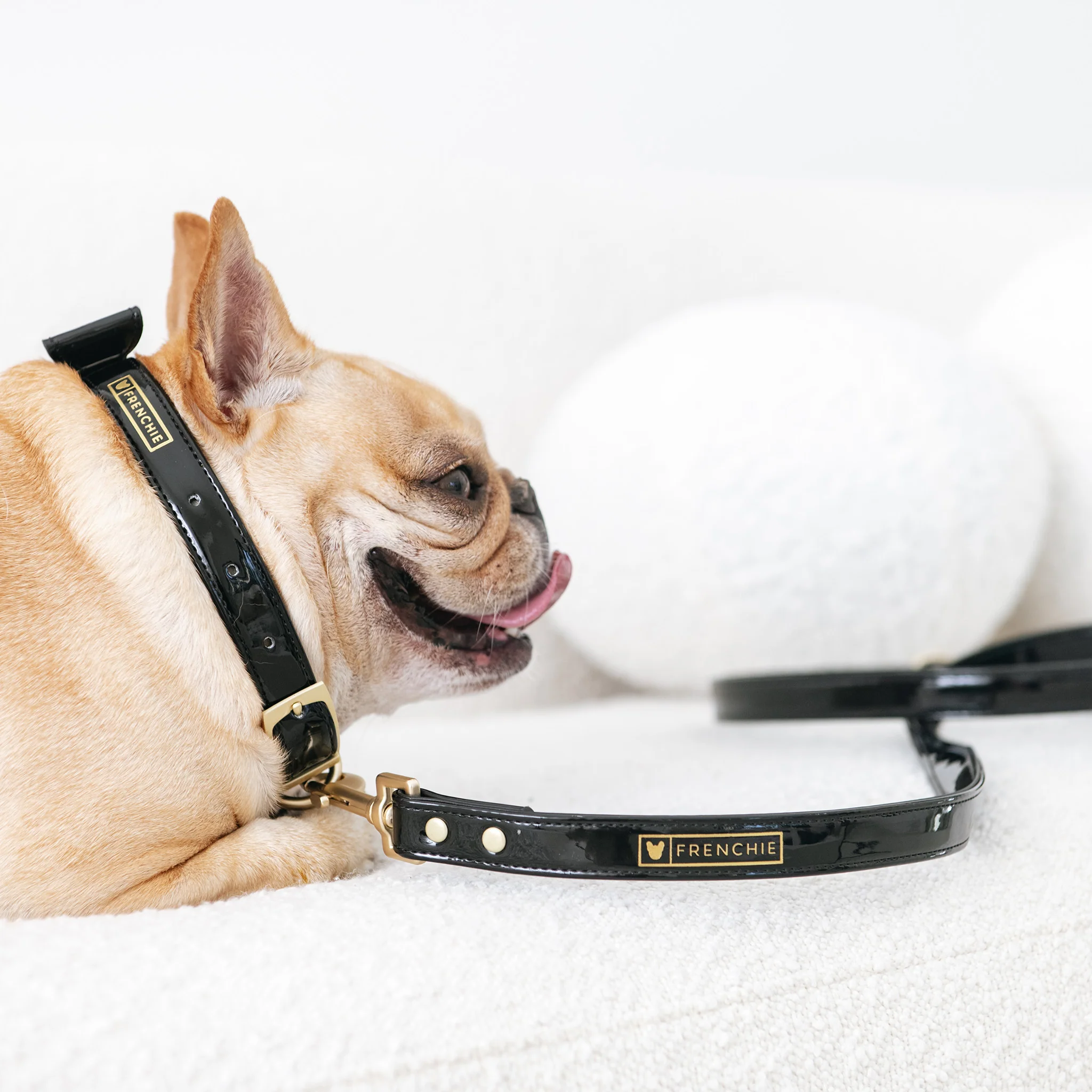 Frenchie Vegan Leather Collar, Leash, & Bow Tie Set - Image 8