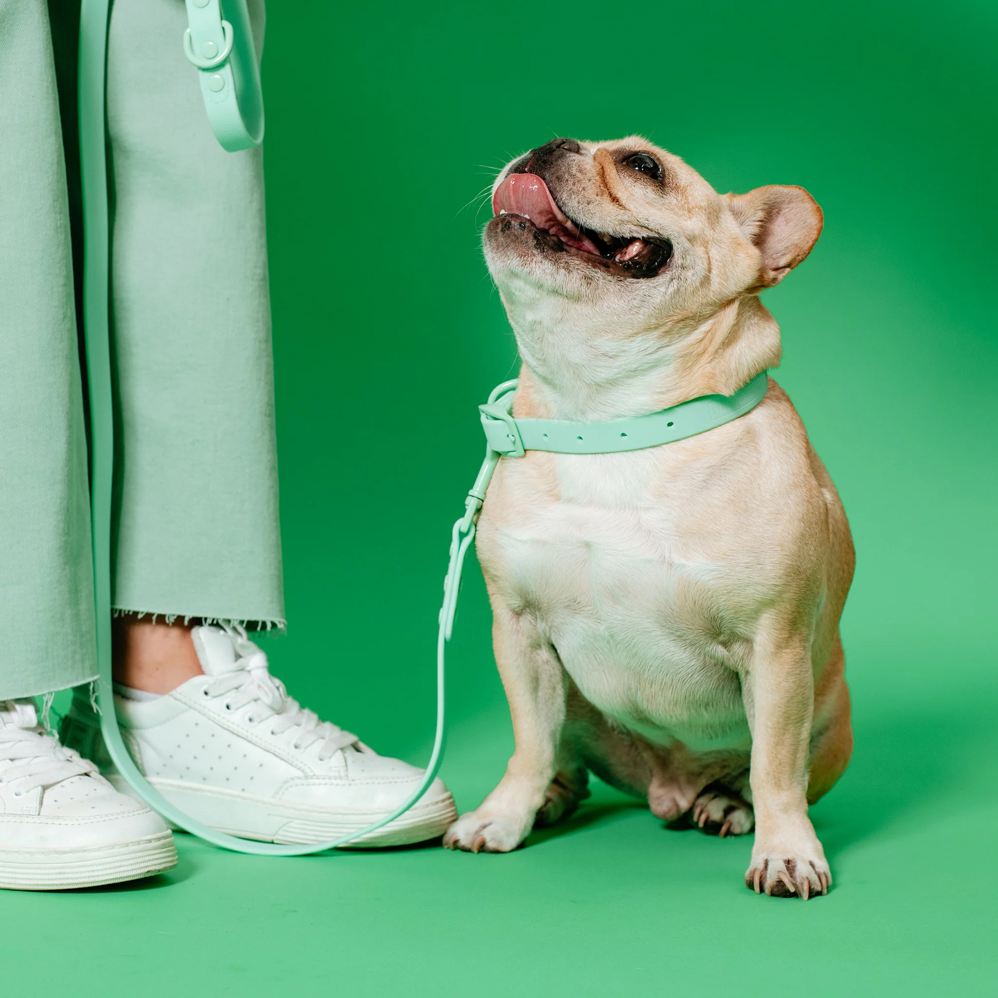 Frenchie Waterproof Collar - Mint Green - Image 2