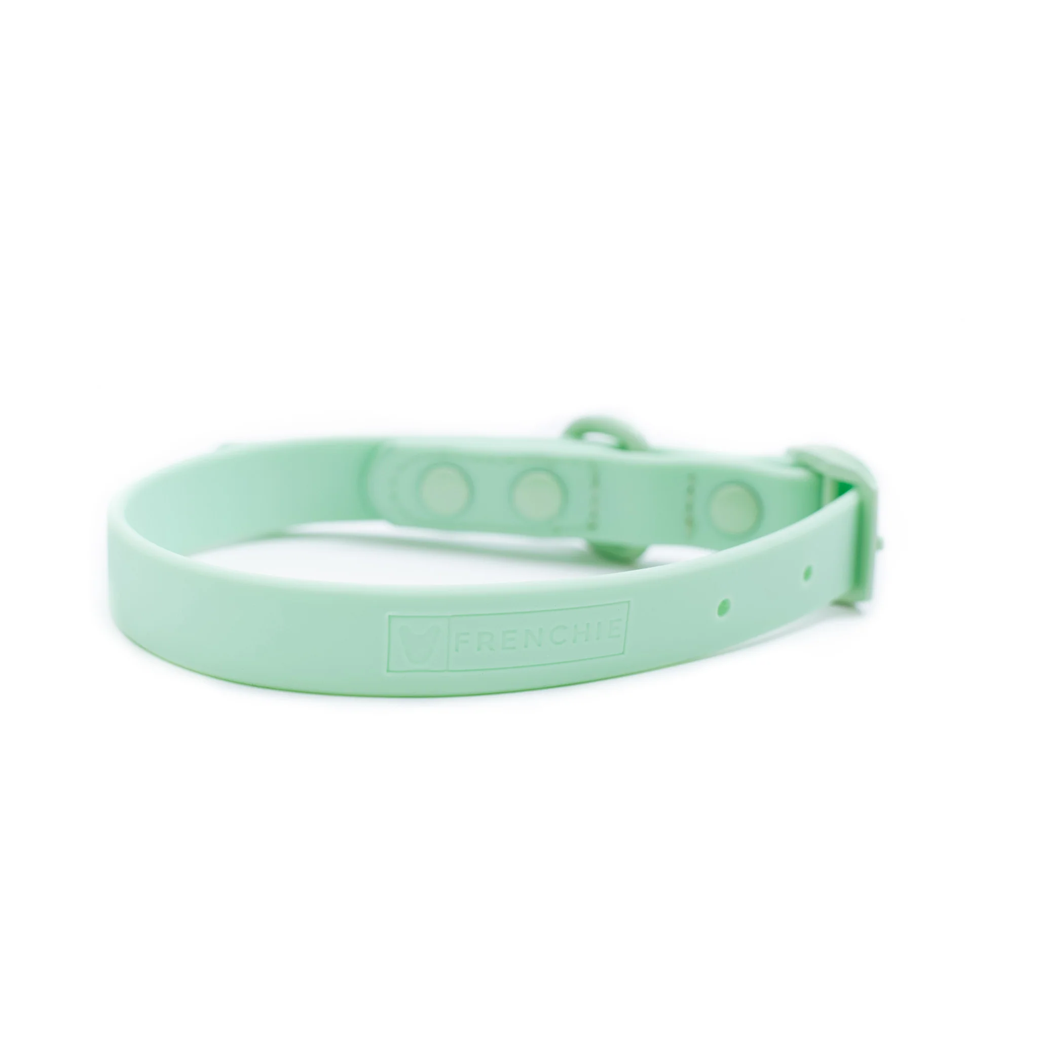 Frenchie Waterproof Collar - Mint Green - Image 8