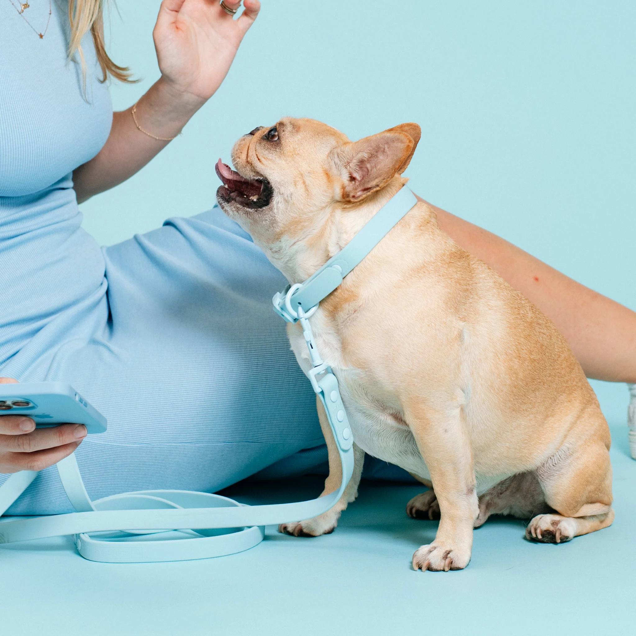 Frenchie Waterproof Collar - Ocean Blue - Image 4
