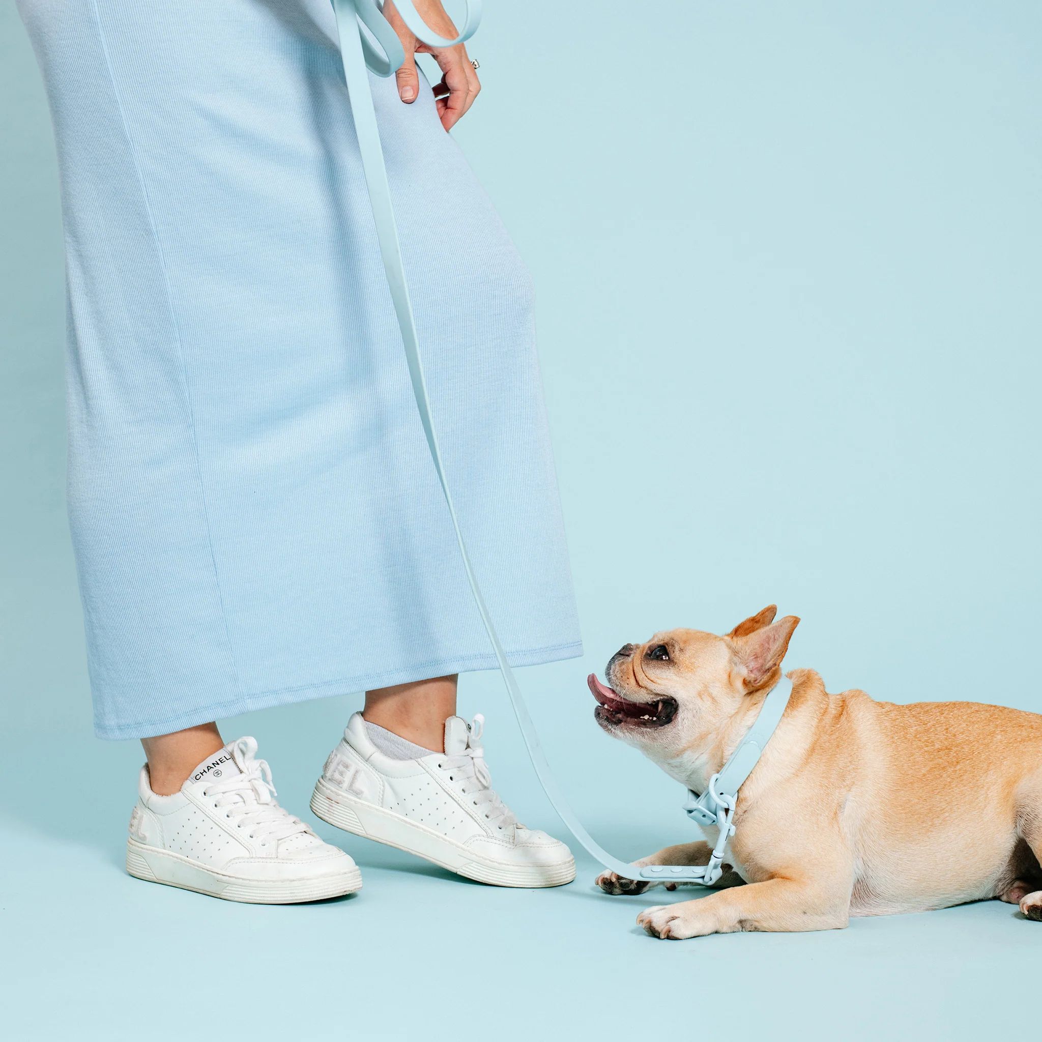 Frenchie Waterproof Collar - Ocean Blue - Image 8