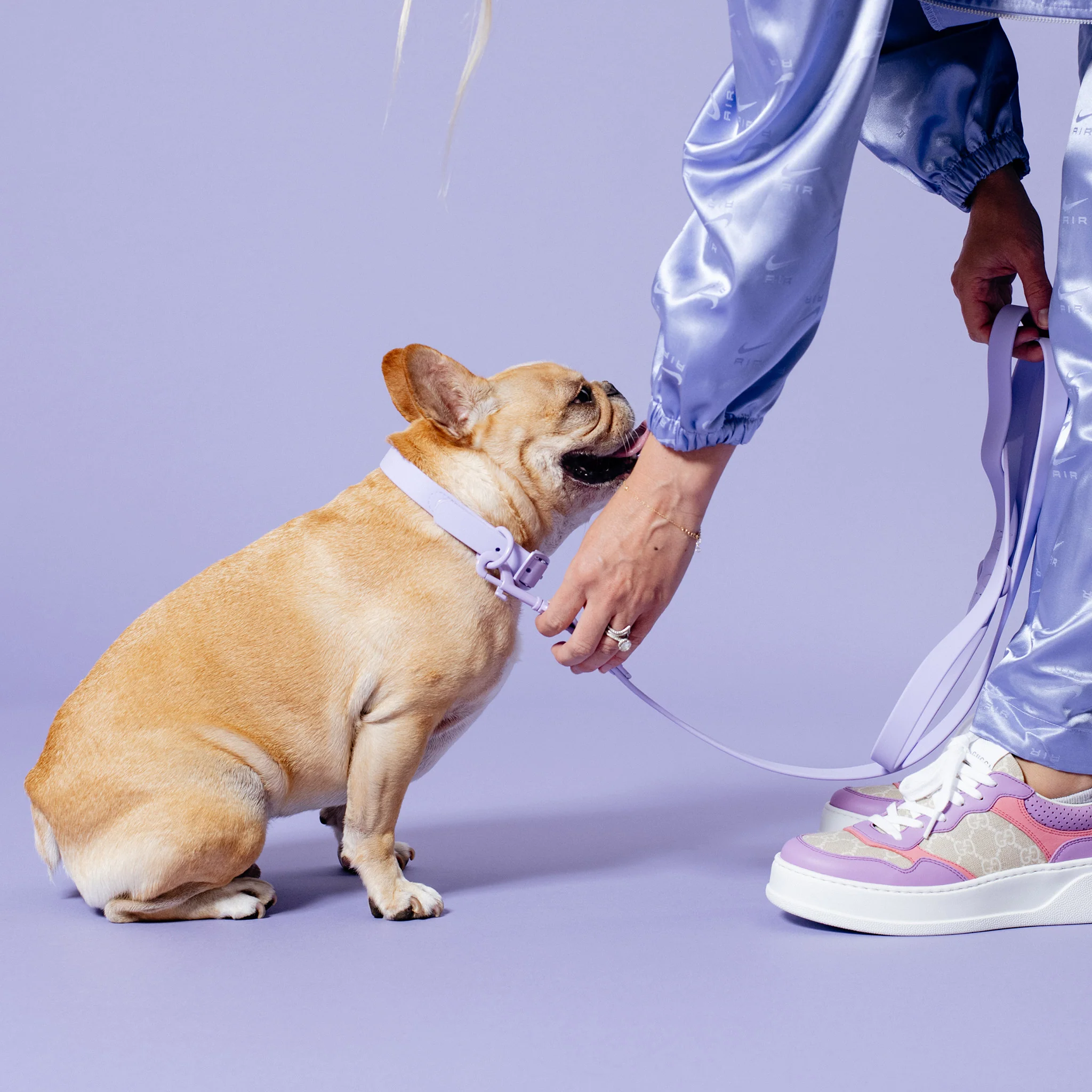 Frenchie Waterproof Collar - Violet - Image 5